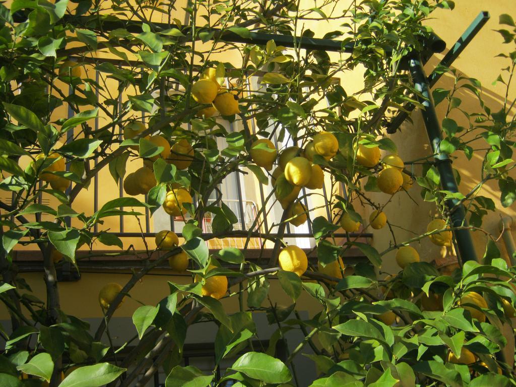 Holiday Home Il Borgo Degli Agrumi Uzzano Bagian luar foto