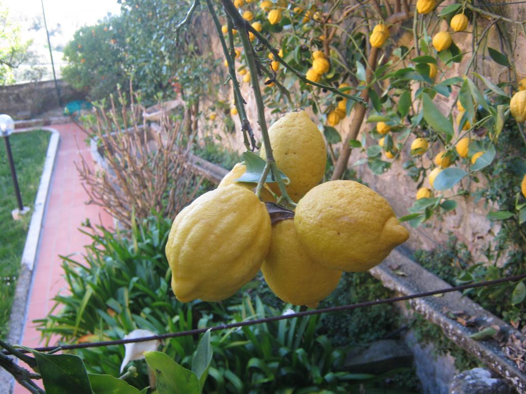 Holiday Home Il Borgo Degli Agrumi Uzzano Bagian luar foto