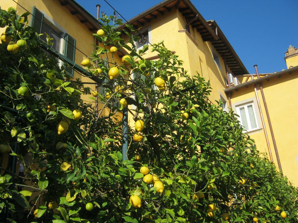 Holiday Home Il Borgo Degli Agrumi Uzzano Bagian luar foto